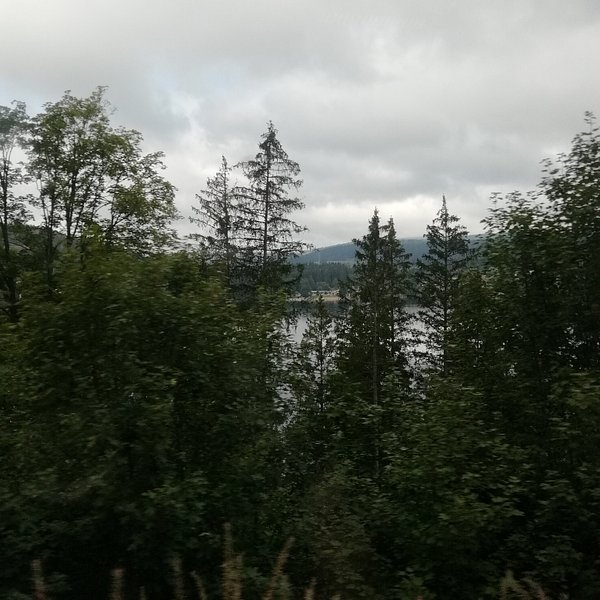Northern Black Forest